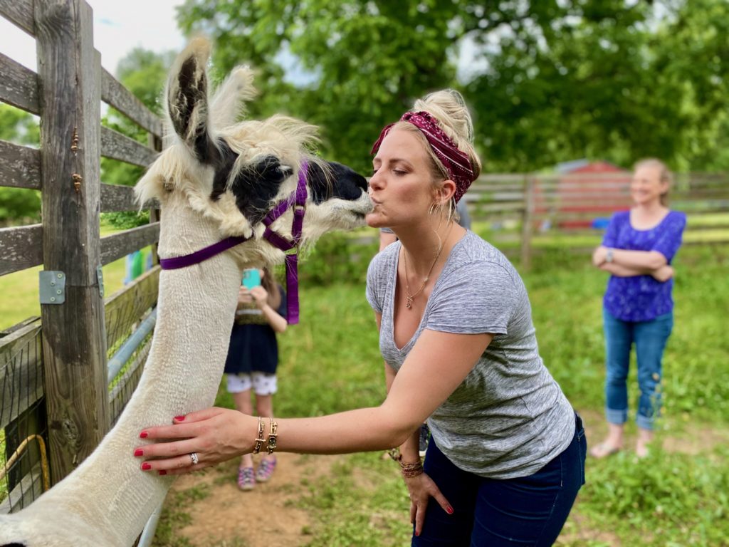 Llama Kisses